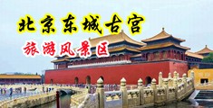欧美干B视频中国北京-东城古宫旅游风景区